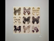 Faux Flutterbies